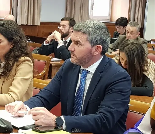 LuengoSenado