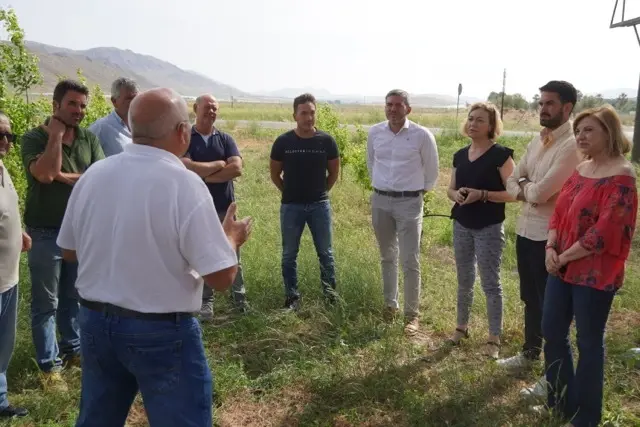 Reunión Agricultores Jumilla Pedrisco