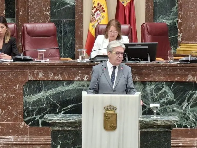 Miralles_Pleno Financiación Dependencia