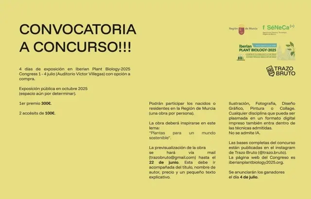 cartel concurso TrazoBruto-IPB