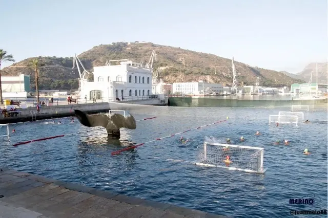 Campeonato internacional waterpolo cola de ballena