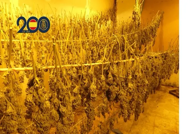 Foto secadero Molina