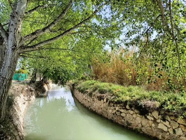 Acequia mayor de Aljufía - Huermur