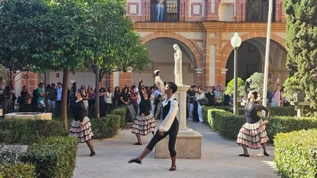 Proyecto Revive