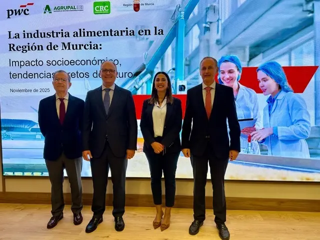 20251111 Rubira presentación informe PWC