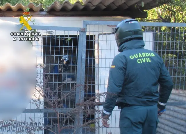 20251221 INVESTIGADO ABANDONO ANIMAL PALOMOS DEPORTIVOS MURCIA SPN