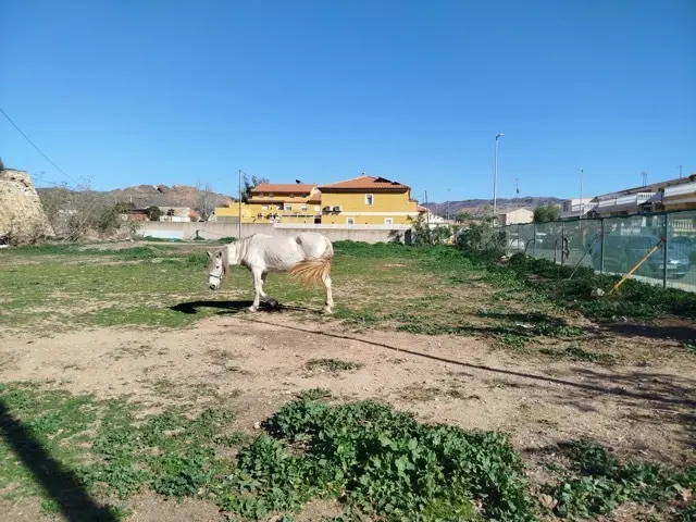 Foto Solar futuro consultorio de Alumbres