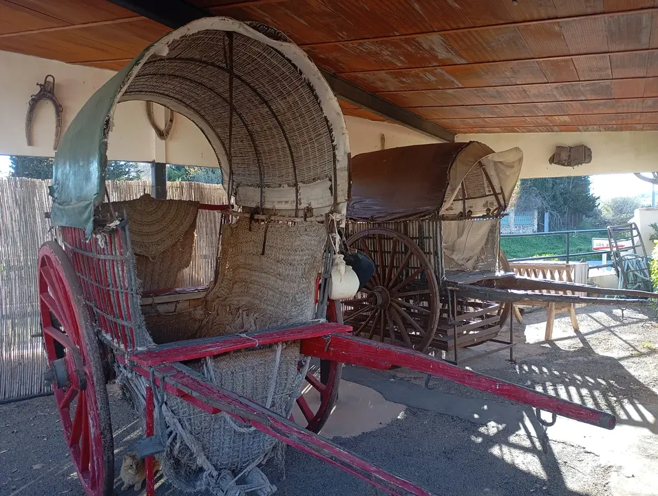 e6d7e58d-63dd-478e-a512-289f1e6722dc