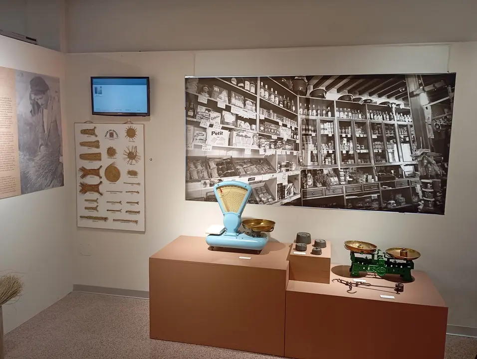 791a2511-357d-4f73-8929-5d70c2a3beea