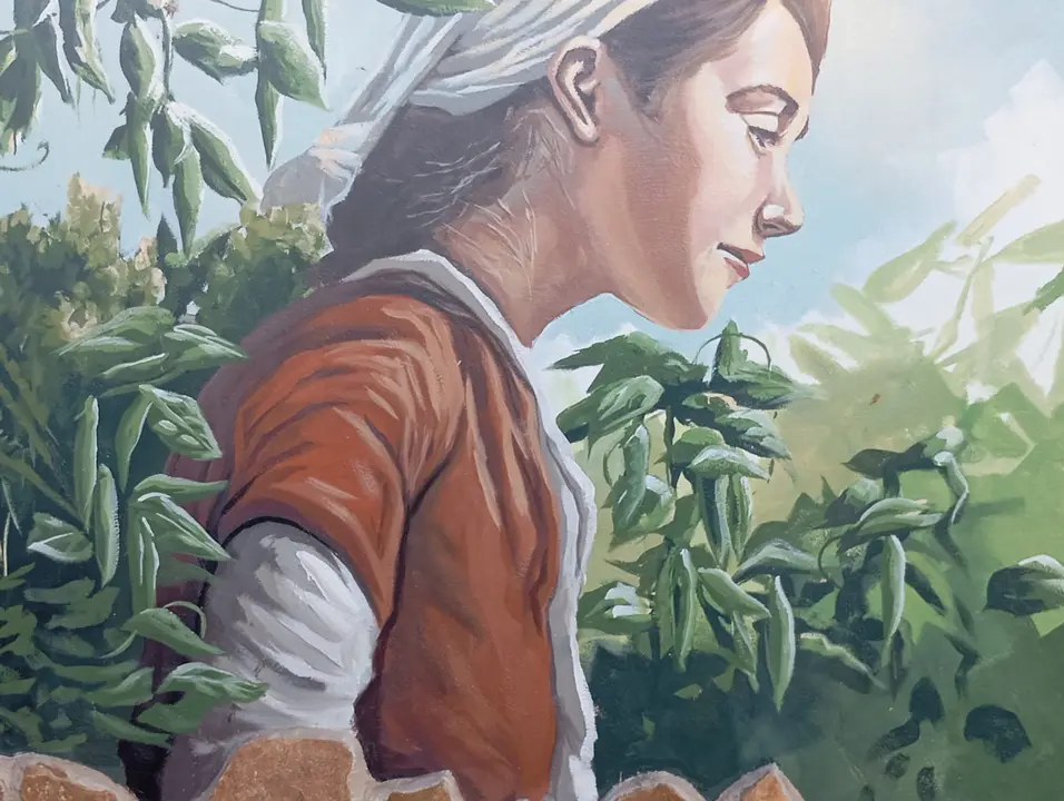 b8f21bcb-8455-47e7-9ed2-10640eccad45