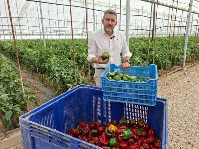 Antonio Luengo invernadero