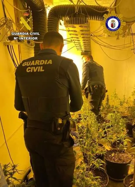 20260507 MARIHUANA CALASPARRA