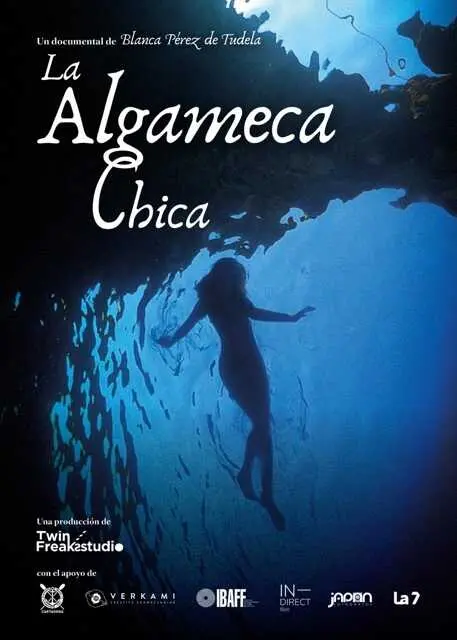 CARTEL OFICIAL LA ALGAMECA CHICA
