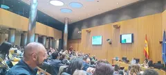 Día Enermería acto Congreso Diputados