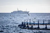 Acuicultura Cartagenna