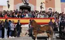 Bendición animales fiestas San Antón