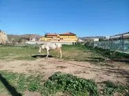 Foto Solar futuro consultorio de Alumbres