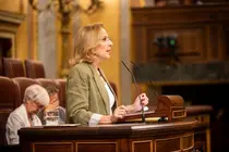 DIPUTADANACIONALLOURDES