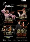 programa Museo Flamenco