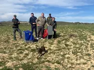 Lince ibérico liberado 2