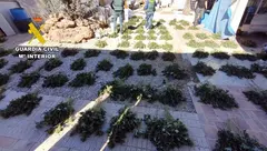 OP TUNAMA TRAFICO DROGA MARIHUANA MAZARRON