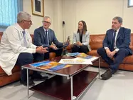 Presentación Sedisa 2028