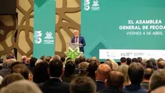 FECOAM_Santiago Martinez