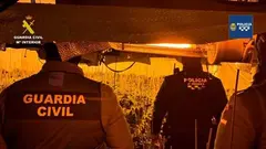 OP VIDRIA MARIHUANA ALGUAZAS GC Y PL