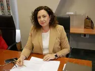 Román Comisión BIT