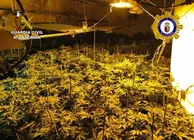 20260527 OP BRUNETT MARIHUANA CALASPARRA