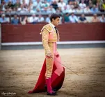 IMG_4529