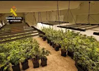 20260612 OP ABANOSKA TRAFICO DROGA MARIHUANA ARCHENA