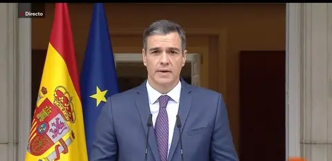 Pedro S&aacute;nchez