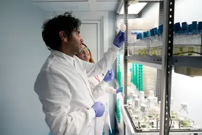 Equipamiento científico situado en el Área Científica y Técnica de Investigación (ACTI). «Plan de Recuperación, Transformación y Resiliencia - Financiado por la Unión Europea – NextGenerationEU»