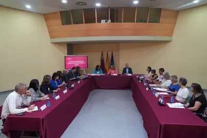 20251013 CONSEJO ASESOR VIOLENCI