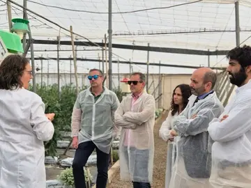 Director Info y startups en Las Palmerillas, Grupo Cajamar