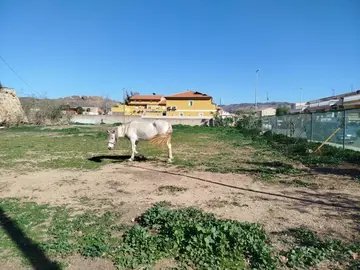 Foto Solar futuro consultorio de Alumbres