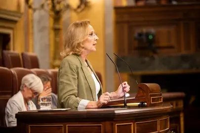 DIPUTADANACIONALLOURDES