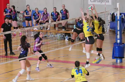 ba6b5b12-14b2-4f4d-ac90-8912314a4e65