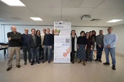 Social Forest en Burdeos