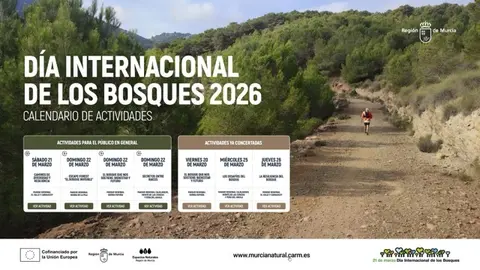 Actividades Día de los Bosques