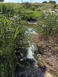 Agua regenerada