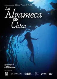 CARTEL OFICIAL LA ALGAMECA CHICA
