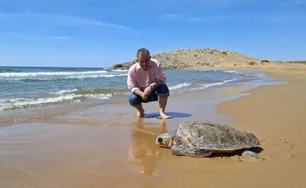Liberación Tortuga