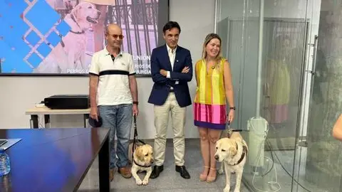 20260622 Garcia Montoro subvención perros guía