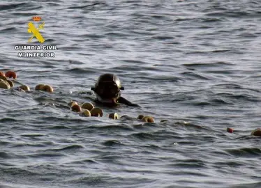 20260714 OP POSEIDON INVESTIGADO PESCA SIN AUTORIZACION PPN AGUILAS