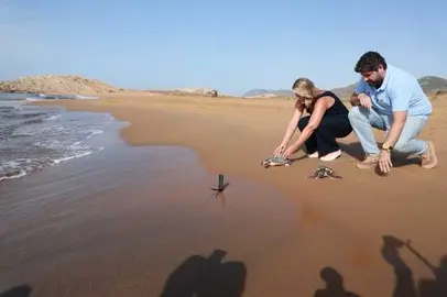 Liberación Tortugas