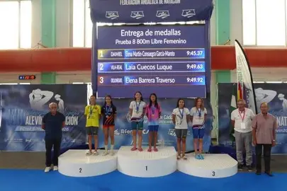 305858 en tamaño mediano