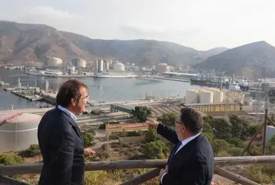 Visita Puerto