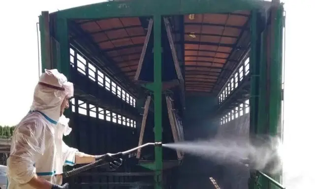 limpieza-vehiculos-ganaderia